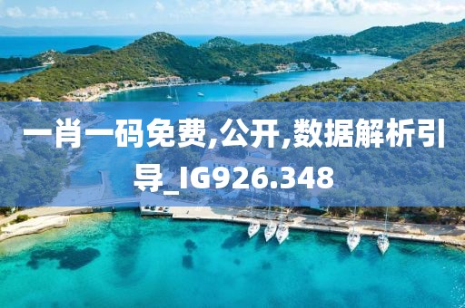 一肖一码免费,公开,数据解析引导_IG926.348