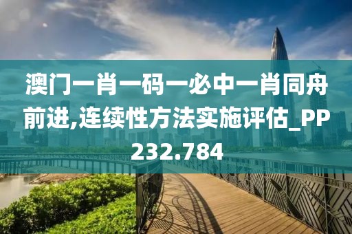 澳门一肖一码一必中一肖同舟前进,连续性方法实施评估_PP232.784
