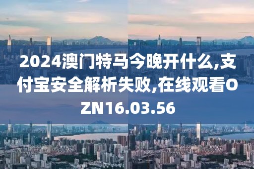 2024澳门特马今晚开什么,支付宝安全解析失败,在线观看OZN16.03.56