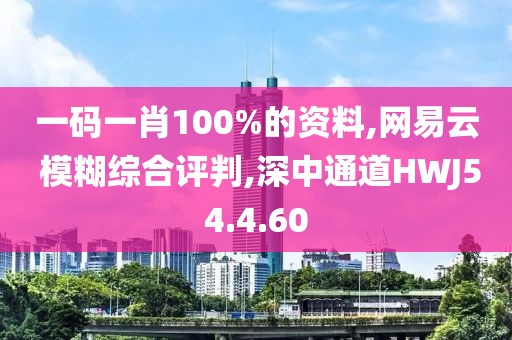 一码一肖100%的资料,网易云 模糊综合评判,深中通道HWJ54.4.60
