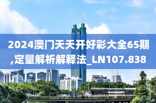 2024澳门天天开好彩大全65期,定量解析解释法_LN107.838