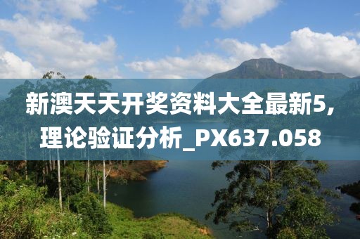 新澳天天开奖资料大全最新5,理论验证分析_PX637.058