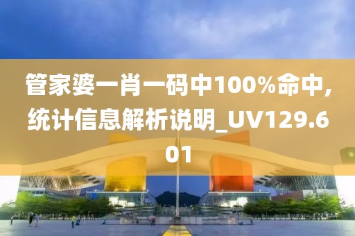 管家婆一肖一码中100%命中,统计信息解析说明_UV129.601