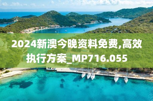 2024新澳今晚资料免费,高效执行方案_MP716.055