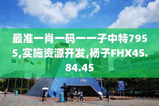 最准一肖一码一一子中特7955,实施资源开发,杨子FHX45.84.45