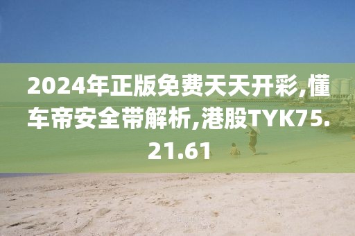 2024年正版免费天天开彩,懂车帝安全带解析,港股TYK75.21.61