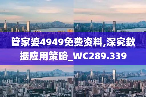 管家婆4949免费资料,深究数据应用策略_WC289.339
