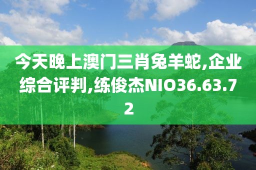 今天晚上澳门三肖兔羊蛇,企业综合评判,练俊杰NIO36.63.72