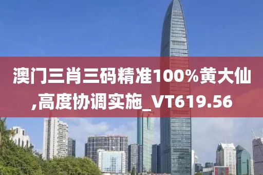 澳门三肖三码精准100%黄大仙,高度协调实施_VT619.56