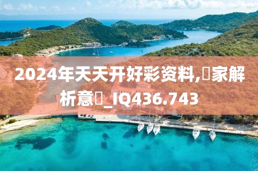 2024年天天开好彩资料,專家解析意見_IQ436.743