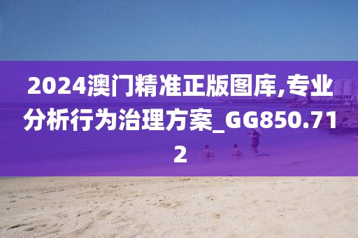2024澳门精准正版图库,专业分析行为治理方案_GG850.712