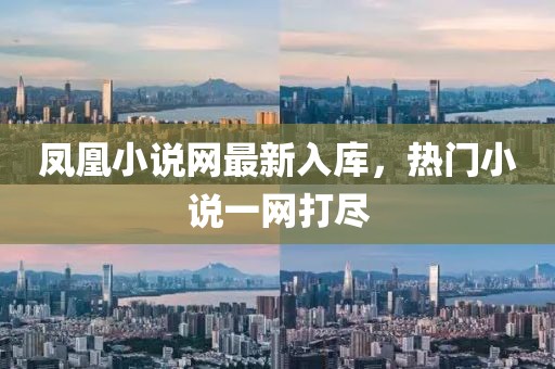 凤凰小说网最新入库，热门小说一网打尽