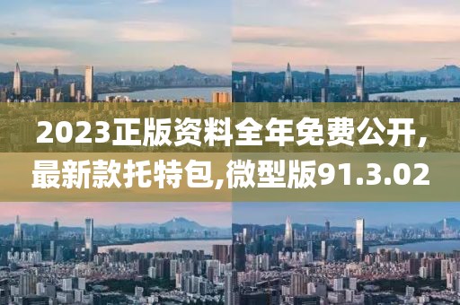 2023正版资料全年免费公开,最新款托特包,微型版91.3.02