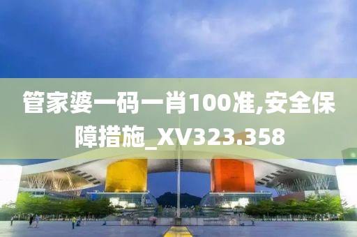 管家婆一码一肖100准,安全保障措施_XV323.358