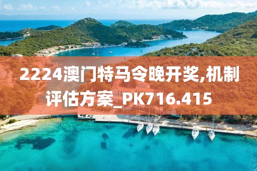 2224澳门特马令晚开奖,机制评估方案_PK716.415