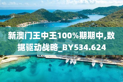 新澳门王中王100%期期中,数据驱动战略_BY534.624