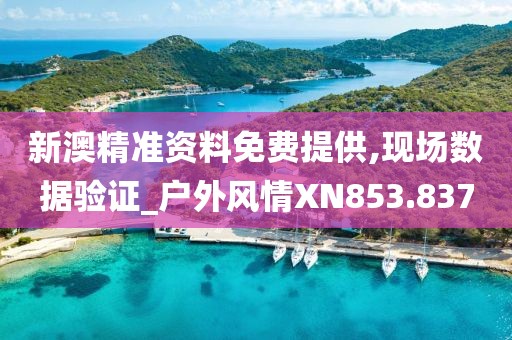 新澳精准资料免费提供,现场数据验证_户外风情XN853.837