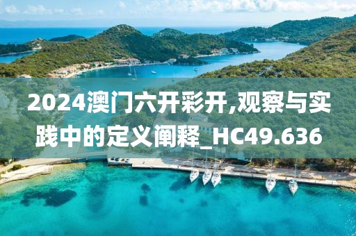 2024澳门六开彩开,观察与实践中的定义阐释_HC49.636