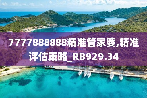 7777888888精准管家婆,精准评估策略_RB929.34
