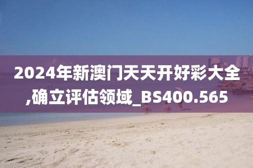 2024年新澳门天天开好彩大全,确立评估领域_BS400.565