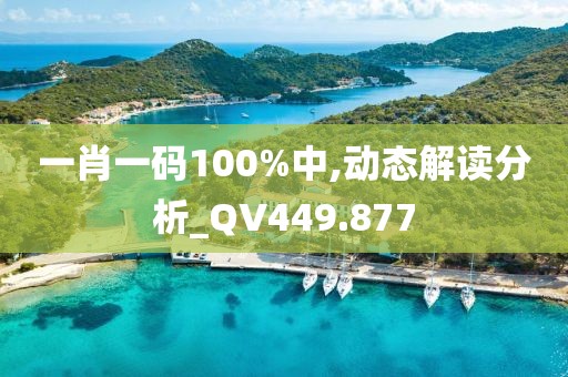 一肖一码100%中,动态解读分析_QV449.877