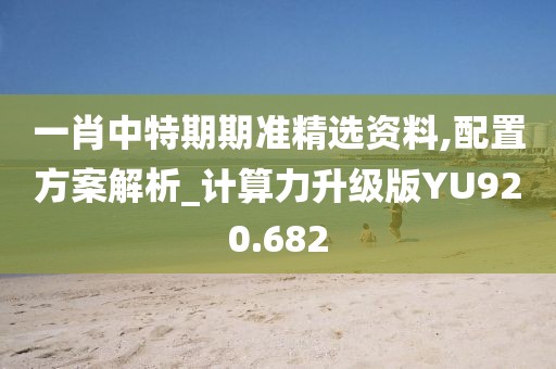 一肖中特期期准精选资料,配置方案解析_计算力升级版YU920.682