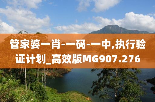 管家婆一肖-一码-一中,执行验证计划_高效版MG907.276
