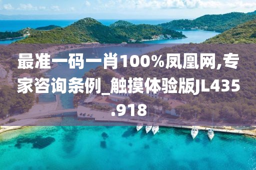 最准一码一肖100%凤凰网,专家咨询条例_触摸体验版JL435.918