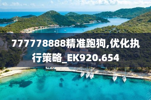 777778888精准跑狗,优化执行策略_EK920.654