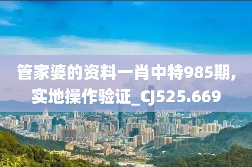 管家婆的资料一肖中特985期,实地操作验证_CJ525.669