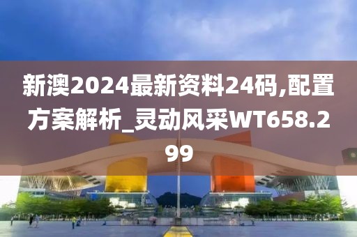 新澳2024最新资料24码,配置方案解析_灵动风采WT658.299