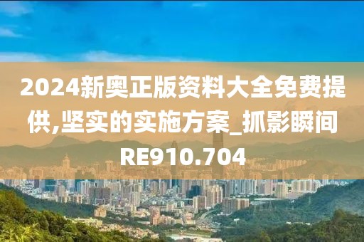 2024新奥正版资料大全免费提供,坚实的实施方案_抓影瞬间RE910.704