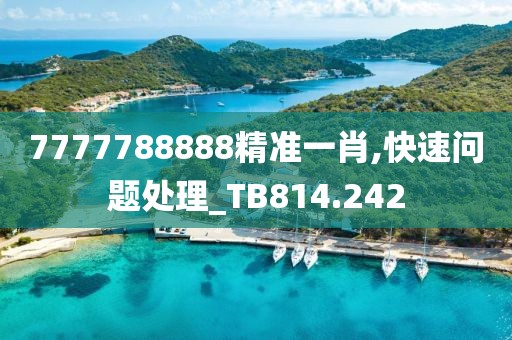 7777788888精准一肖,快速问题处理_TB814.242