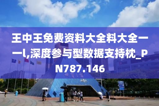 王中王免费资料大全料大全一一l,深度参与型数据支持枕_PN787.146
