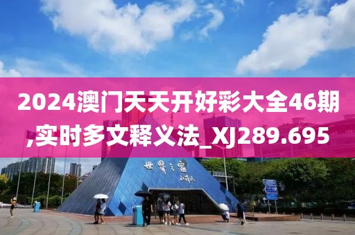 2024澳门天天开好彩大全46期,实时多文释义法_XJ289.695