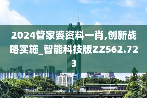 2024管家婆资料一肖,创新战略实施_智能科技版ZZ562.723