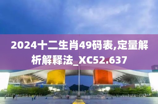 2024十二生肖49码表,定量解析解释法_XC52.637