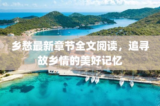 乡愁最新章节全文阅读，追寻故乡情的美好记忆