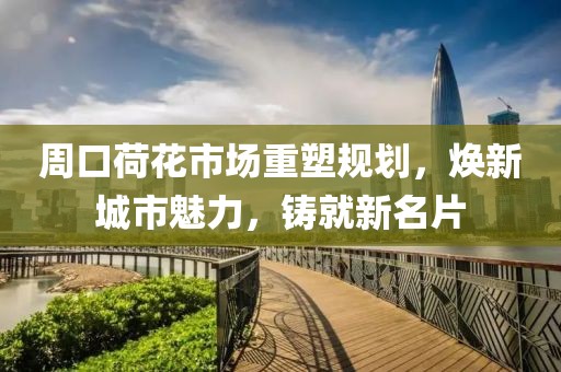 周口荷花市场重塑规划，焕新城市魅力，铸就新名片