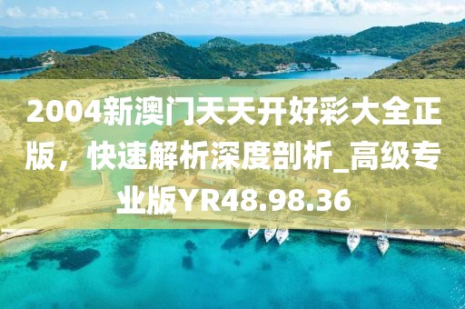 2004新澳门天天开好彩大全正版，快速解析深度剖析_高级专业版YR48.98.36