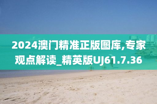 2024澳门精准正版图库,专家观点解读_精英版UJ61.7.36