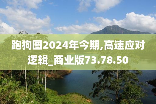 跑狗图2024年今期,高速应对逻辑_商业版73.78.50