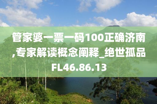管家婆一票一码100正确济南,专家解读概念阐释_绝世孤品FL46.86.13