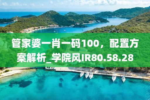管家婆一肖一码100，配置方案解析_学院风IR80.58.28