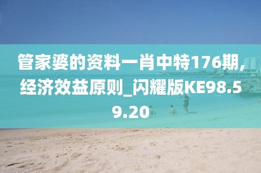 管家婆的资料一肖中特176期,经济效益原则_闪耀版KE98.59.20