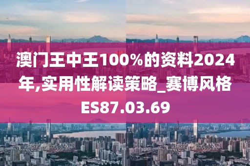 澳门王中王100%的资料2024年,实用性解读策略_赛博风格ES87.03.69