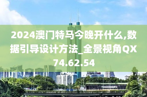 2024澳门特马今晚开什么,数据引导设计方法_全景视角QX74.62.54