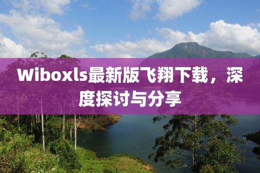 Wiboxls最新版飞翔下载，深度探讨与分享