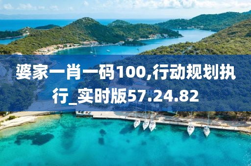婆家一肖一码100,行动规划执行_实时版57.24.82