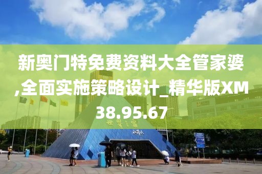 新奥门特免费资料大全管家婆,全面实施策略设计_精华版XM38.95.67
